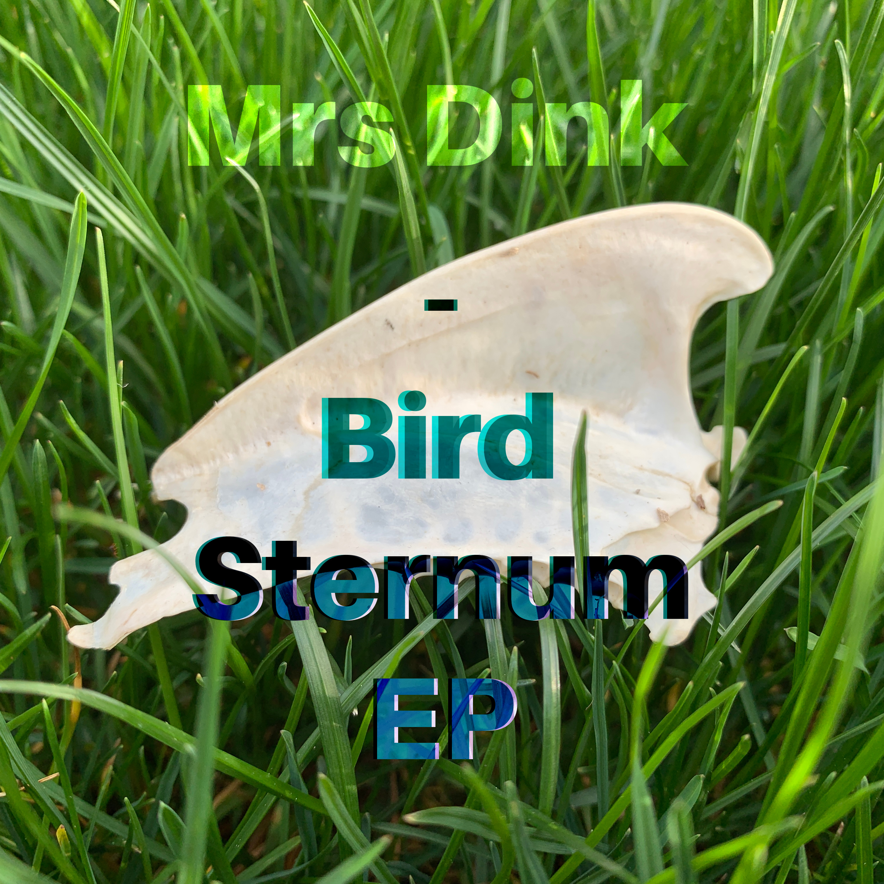 Mrs Dink – Bird Sternum