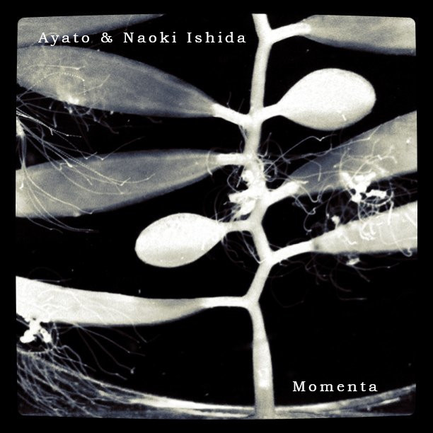 Ayato & Naoki Ishida – Momenta
